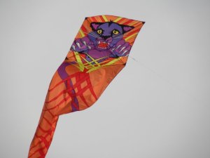 Copy of puma kite