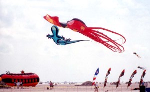 Large show kites draw large crowds, but need large fields