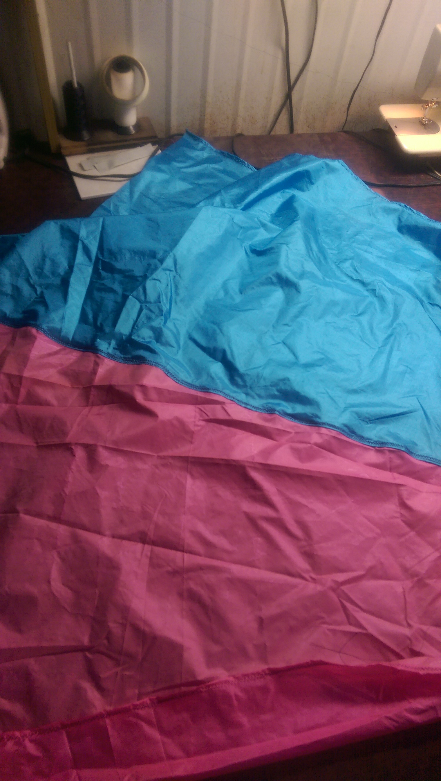 IMAG0666.jpg image