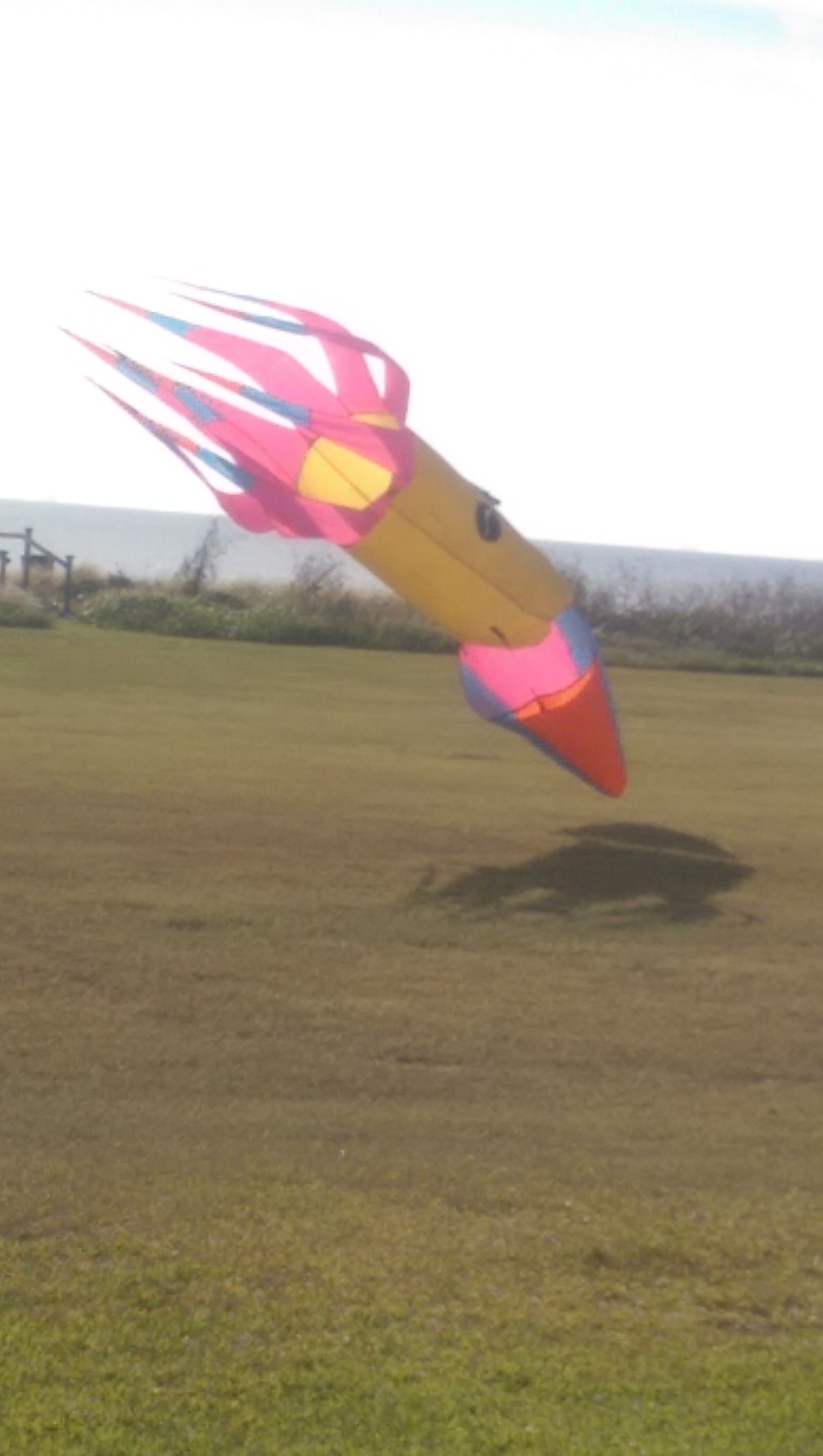 IMAG0682.jpg image